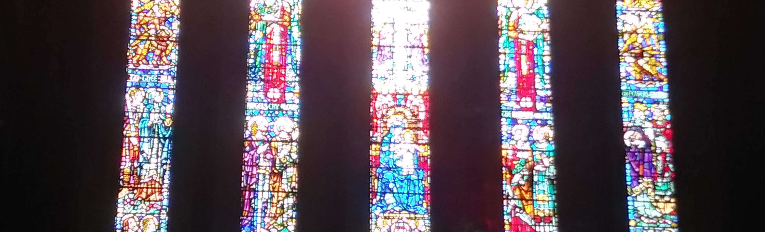 20190317_154130_HDR.jpg
